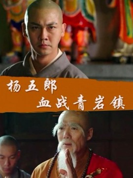 杨五郎血战青岩镇