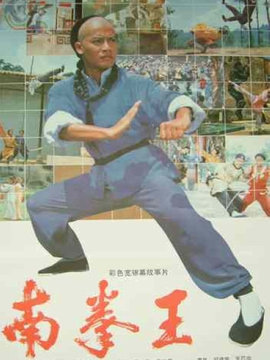 南拳王