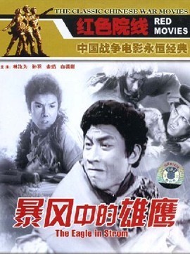 暴风雨中的雄鹰