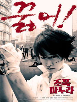 我的老婆是高手