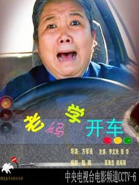老妈学车