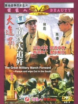 大进军南线大追歼