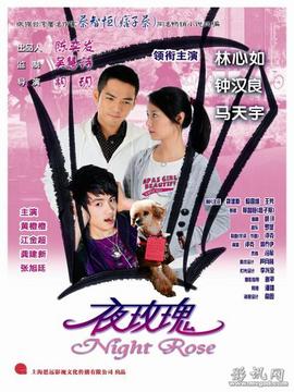 夜玫瑰