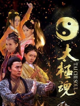 太极魂之盖世无双