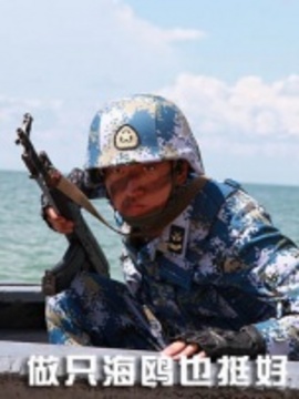 做只海鸥也挺好