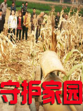 守护家园