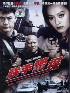 联手警探